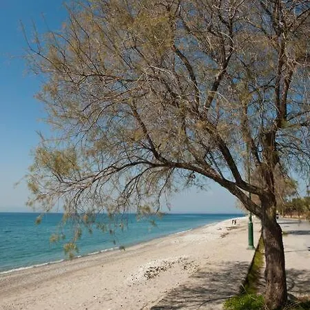 Dreamers Santova Villa-kalamata 度假居 *